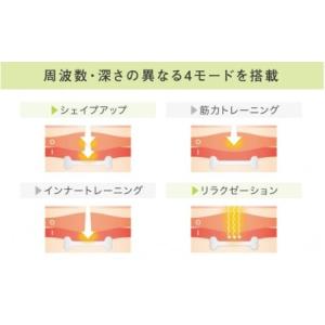 ふるさと納税 【お腹だけじゃない!貼るだけ筋ト...の詳細画像2
