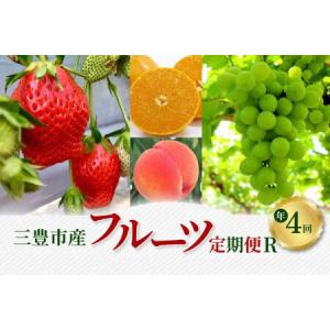 ふるさと納税 三豊市産 人気の厳選フルーツ定期便R(年4回) 香川県三豊市｜ふるなび(ふるさと納税)