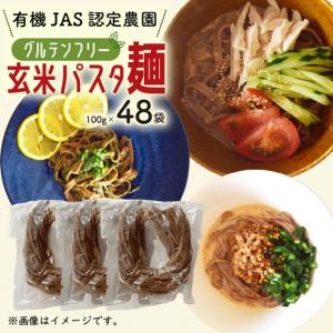 ふるさと納税 有機グアバ農園のグルテンフリー玄米パスタ麺 100g×48袋セット【グルテン フリー ダイエット 健康 食品 人気 おすすめ 高知.. 高知県南国市