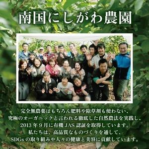 ふるさと納税 有機グアバ農園のグルテンフリー玄...の詳細画像4