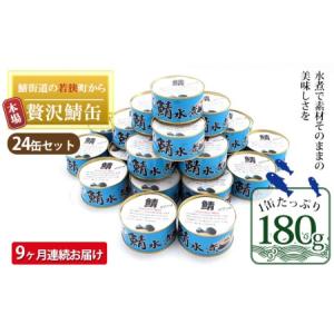ふるさと納税 【定期便】 鯖缶 サバ缶 9ヶ月 水煮 24缶 さば缶 さば 鯖缶 福井県若狭町