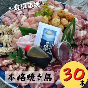 ふるさと納税 【本格焼き鳥お任せセット3０本】BBQ、キャンプに！ 和歌山県御坊市