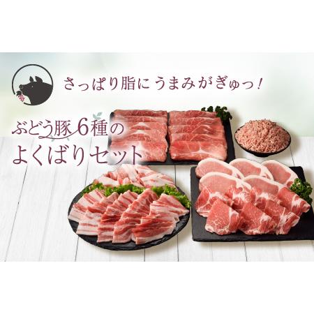 ふるさと納税 国産 豚肉 ブランド 豚 綾ぶどう豚 詰め合わせ よくばり セット 2.7kg 小分け...