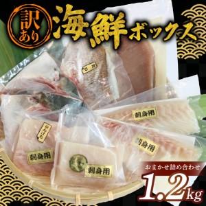 業務用 桜パウダー 500g Wサクラパウダー（国産）赤ビート使用 山眞