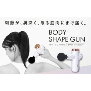 アムウェイ メディカラダ ウォーク NTMK30 脚用運動機器 : キューブ