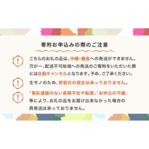 ふるさと納税 【先行予約】高徳林檎 約2kg ...の詳細画像1
