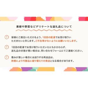 ふるさと納税 【先行予約】高徳林檎 約2kg ...の詳細画像3