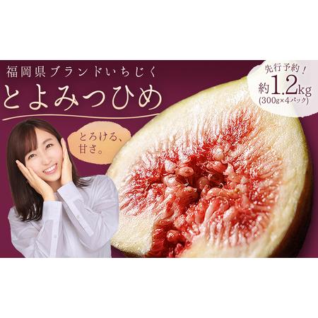 ふるさと納税 いちじく 「 とよみつひめ 」約1.2kg(約300g×4パック) 福岡県 フルーツ ...