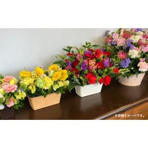 ふるさと納税 【3ヶ月定期便】季節のおまかせフ...の詳細画像2