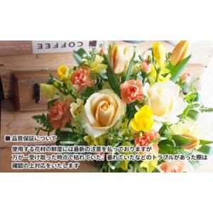 ふるさと納税 【3ヶ月定期便】季節のおまかせフ...の詳細画像3