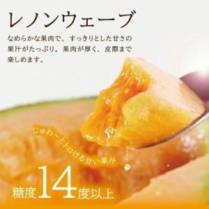 ふるさと納税 SA2869 庄内メロン/赤肉 ...の詳細画像1