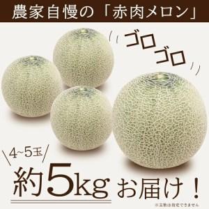 ふるさと納税 SA2869 庄内メロン/赤肉 ...の詳細画像2