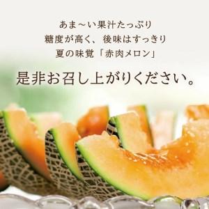 ふるさと納税 SA2869 庄内メロン/赤肉 ...の詳細画像3