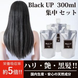 ふるさと納税 白髪対策コラーゲンドリンク　ブラックアップ　3本セット（約3ヶ月分）≪白髪 黒髪 白髪...