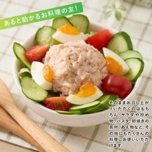 ふるさと納税 ツナ缶 オイル不使用 シーチキン...の詳細画像3