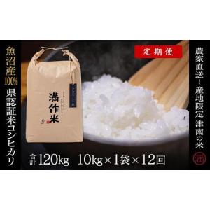 ふるさと納税 【2025年産 】【12ヶ月定期便】10kg(10kg×1袋) 県認証魚沼産コシヒカリ |津南町 コシヒカリ 定期便 新潟県津南町