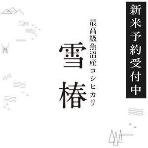 ふるさと納税 【頒布会】令和6年産新米予約 期間限定 最高級魚沼産コシヒカリ「雪椿」5kg×全6回　...