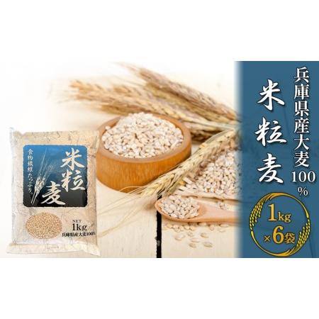 ふるさと納税 兵庫県産大麦100％ 米粒麦 1kg×6袋 兵庫県稲美町