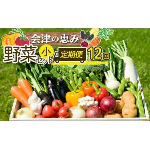 ふるさと納税 《定期便》＜3市町村共通返礼品＞会津の恵み野菜セット(小)《全12回》 朝採れ 野菜 お米 精米 米 セット 詰合せ 契約農家 朝採り.. 福島県西会津町