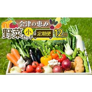ふるさと納税 《定期便》＜3市町村共通返礼品＞会津の恵み野菜セット(大)《全12回》 朝採れ 野菜 お米 精米 米 セット 詰合せ 契約農家 朝採り.. 福島県西会津町