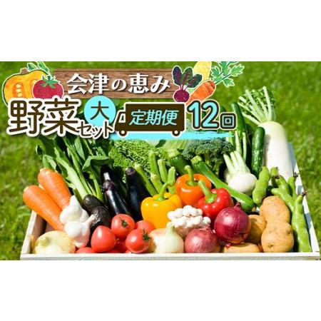 ふるさと納税 3市町村共通返礼品「会津の恵み野菜セット」（大）定期便 12回 F4D-0506 福島...