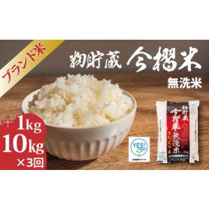 ふるさと納税 【令和7年産】生活応援！価格大幅改定！≪定期便3ヶ月≫ 無洗米 11kg×3回 計33kg ブランド米 籾貯蔵今摺米 きたくりん 北海道.. 北海道当麻町