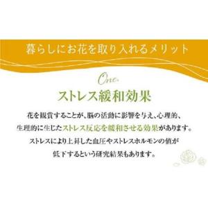 ふるさと納税 お花の定期便 (毎月4回) 12...の詳細画像3