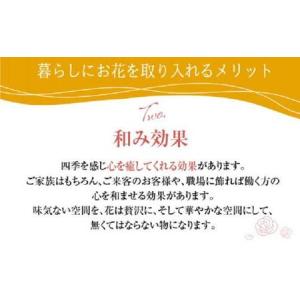 ふるさと納税 お花の定期便 (毎月4回) 12...の詳細画像4