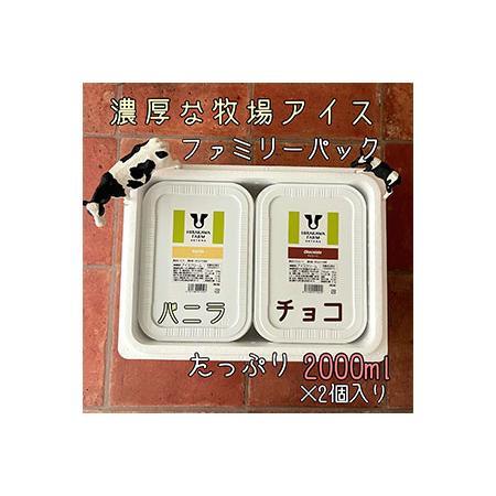 ふるさと納税 ひらかわ牧場のしぼりたて生乳で作ったアイスクリーム【2Lパック2個セットB】 北海道せ...