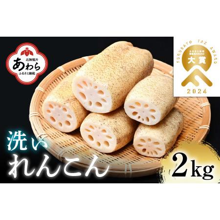 ふるさと納税 【先行予約】洗いれんこん2kg《発送直前に収穫してお届け！》 シャキっとした歯触り！ ...