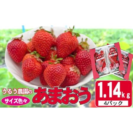 ふるさと納税 いちご 2024年12月より発送 うるう農園のあまおう サイズ色々4パック 約1.14...