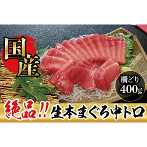 ふるさと納税 【冷蔵】絶品！生本マグロ　中トロ 400g（柵どり） 福井県越前市