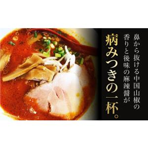 ふるさと納税 【全12回定期便】《生麺》《2年...の詳細画像2