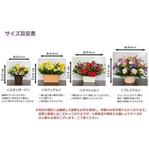 ふるさと納税 【3ヶ月定期便】季節のおまかせフ...の詳細画像1