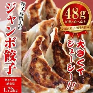 ふるさと納税 餃子専門店 宇都宮 悟空 ジャンボ餃子36個入※離島への配送不可| 餃子 冷凍 ぎょうざ ギョーザ 大容量 肉たっぷり 肉多め ジャン.. 栃木県宇都宮市