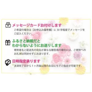 ふるさと納税 Forever Box 〜フォー...の詳細画像1