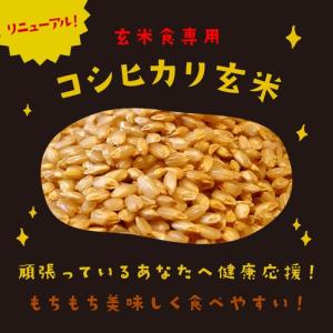 ふるさと納税 【パックご飯】 玄米 国産こしひ...の詳細画像1