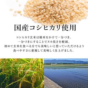 ふるさと納税 【パックご飯】 玄米 国産こしひ...の詳細画像2