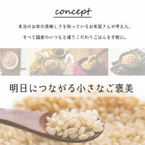 ふるさと納税 【パックご飯】 玄米 国産こしひ...の詳細画像3
