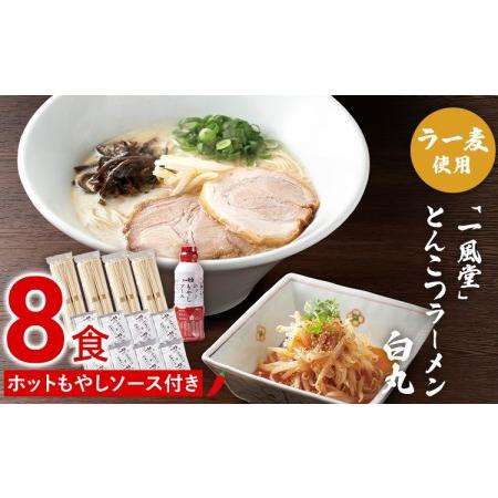 ふるさと納税 ラー麦使用「一風堂」とんこつラーメン 白丸(8食)【ホットもやしソース付き】 福岡県田...