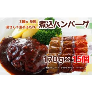 ふるさと納税 76-97湯せんで簡単！煮込みハンバーグ食べ比べセット