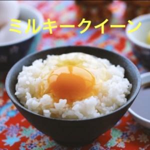 ふるさと納税 新米【令和7年産】ミルキークイーン 白米 5kg もっちりあまあま！茨城県産 ブランド...