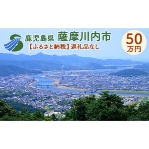 ふるさと納税 NS-000 【ふるさと納税】薩摩川内市への寄付(返礼品はありません) 鹿児島県薩摩川内市