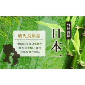 ふるさと納税 DS-801 松花堂弁当箱 鹿児...の詳細画像3