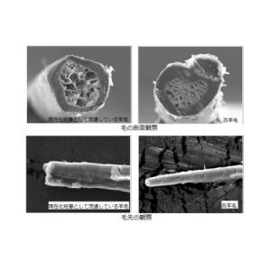 ふるさと納税 最高級 化粧筆 古羊毛 花 会津...の詳細画像3
