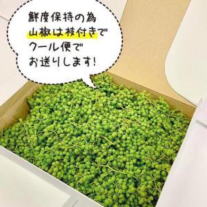 ふるさと納税 ぶどう山椒 500g 実山椒 生...の詳細画像3