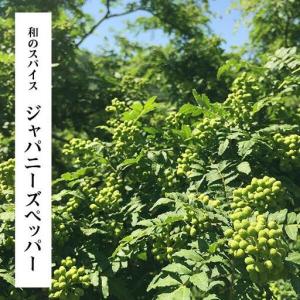 ふるさと納税 ぶどう山椒 500g 実山椒 生...の詳細画像4