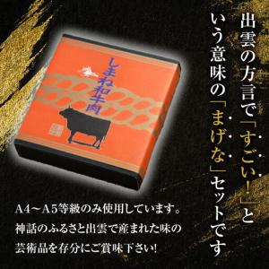 ふるさと納税 牛肉 しまね和牛まげなセット【冷...の詳細画像3