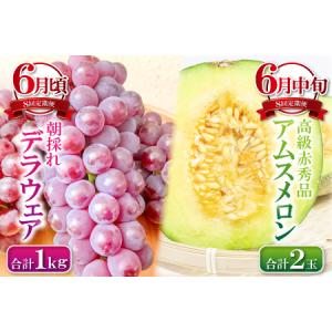 ふるさと納税 E-635 益田市四季の旬果定期...の詳細画像1