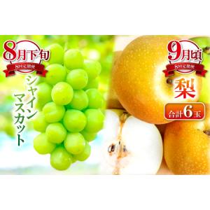 ふるさと納税 E-635 益田市四季の旬果定期...の詳細画像3